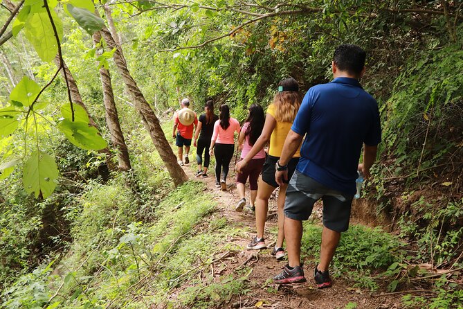 Puerto Vallarta Botanical Gardens Hiking Tour - What to pack for this particular outing