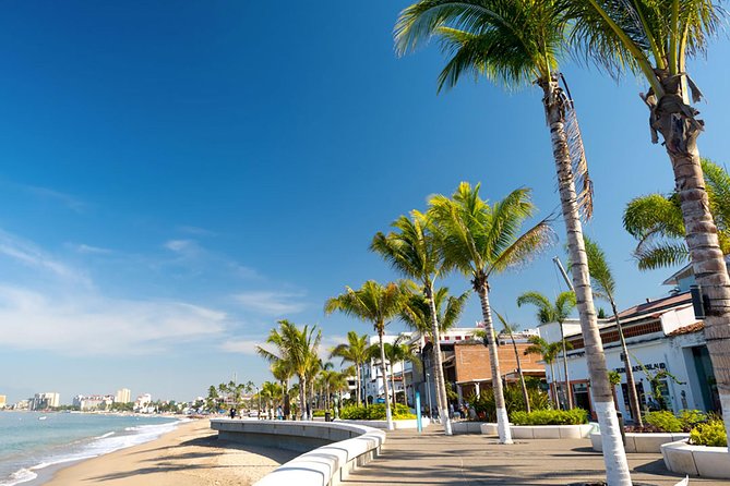 Puerto Vallarta City Tour - The tequila visit and what you can expect
