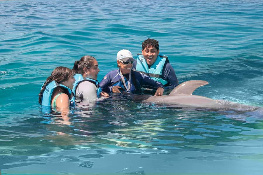 Puerto Vallarta: Dolphin Swimming and Aquaventuras Park - The dolphin session is the real centerpiece
