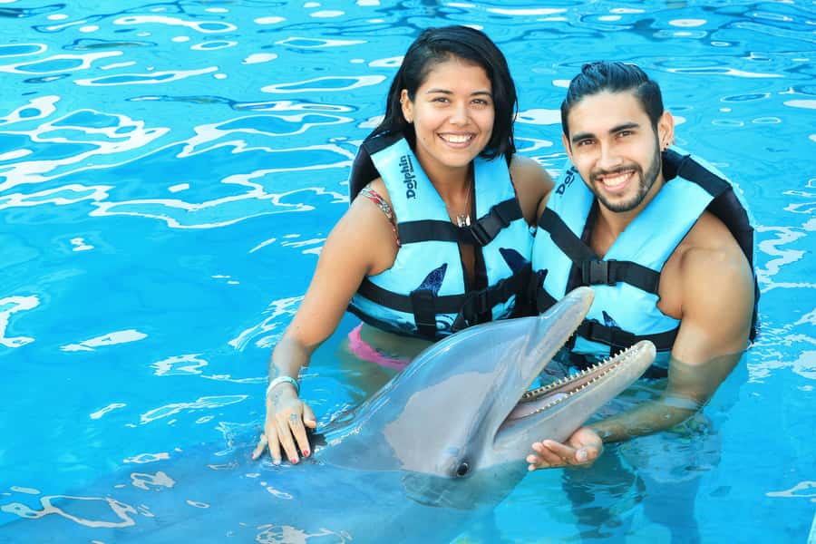 Puerto Vallarta: Dolphin Swimming and Aquaventuras Park - The animal welfare question deserves honest attention