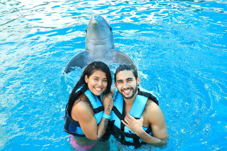 Puerto Vallarta: Dolphin Swimming and Aquaventuras Park - Who will enjoy this experience most