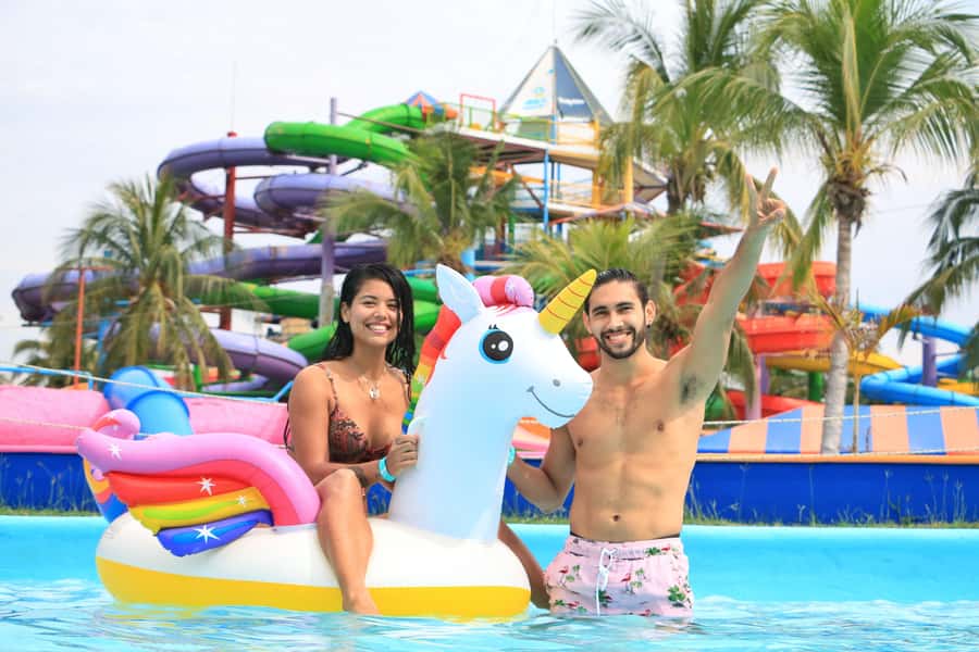 Puerto Vallarta: Dolphin Swimming and Aquaventuras Park - Should you book Aquaventuras Park?