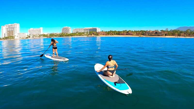 Puerto Vallarta: Guided SUP Board Tour with Digital Photos - Wildlife on the Bay of Banderas