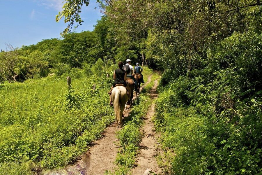 Puerto Vallarta Horseback Riding - Entering the Cuale River on horseback