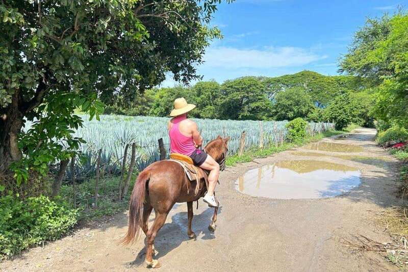 Puerto Vallarta: Horseback Riding, Lunch & Unlimited Drinks - Mexican BBQ, lunch, and unlimited margaritas