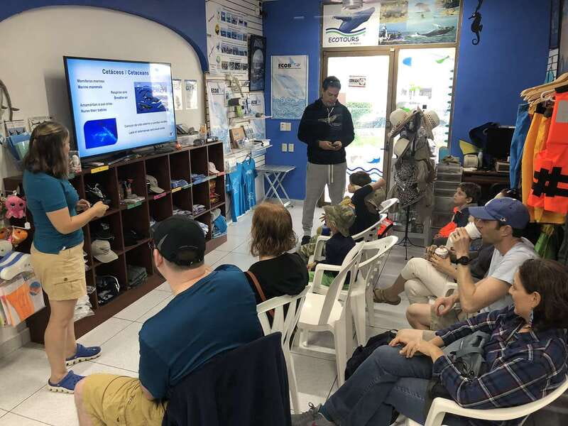 Puerto Vallarta: Humpback Whale Research Adventure Tour - Key points to know before booking