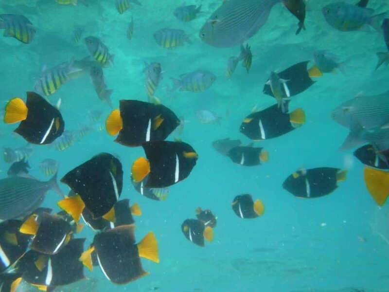 Puerto Vallarta: Los Arcos Snorkel & Beach Private Boat Tour - What the Private Boat Adds
