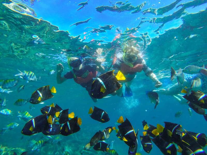 Puerto Vallarta: Luxury Day Sailing Tour of Bay of Banderas - The Bay of Banderas by sail