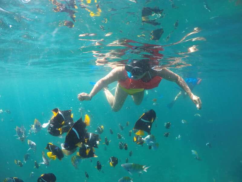 Puerto Vallarta: Luxury Yacht Tour with Lunch and Open Bar - Snorkeling, paddleboarding, and swimming time