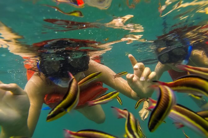 Puerto Vallarta: Marietas Islands with Open Bar and Food - Lunch and the open bar come after the active part