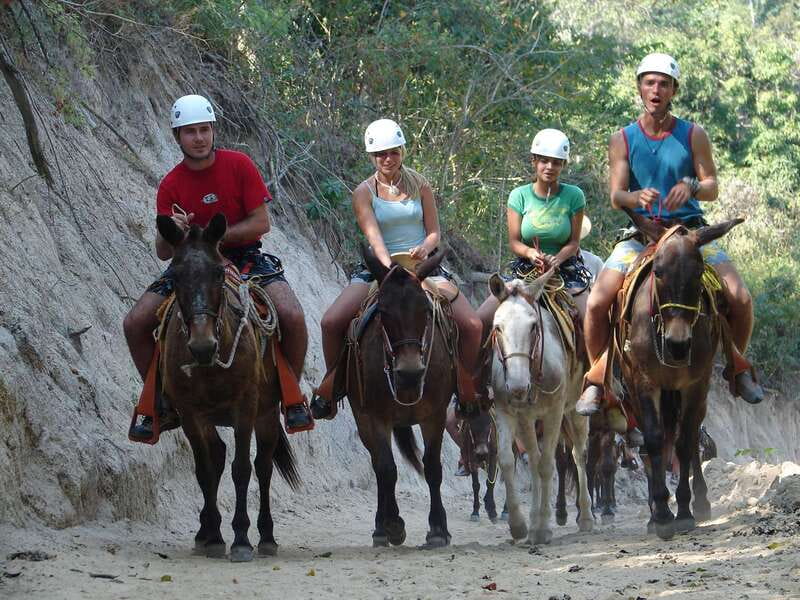 Puerto Vallarta: Outdoor Ziplines and Rappel Adventure - A Mule Ride Deeper Into the Mountains