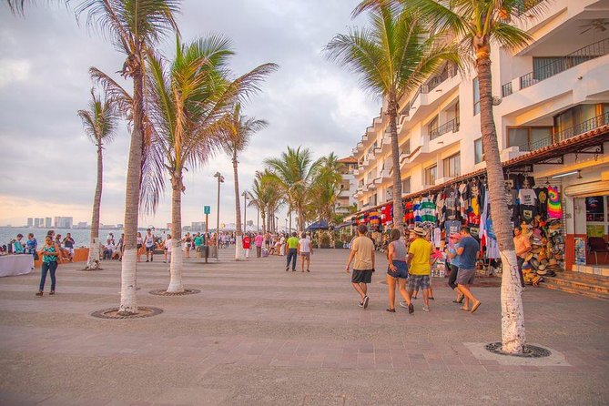 Puerto Vallarta Private Art Tour - Who will get the most from this walk