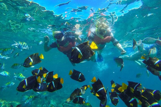 Puerto Vallarta: Private Yelapa Beach & Snorkel Tour on a Yacht - Who Will Enjoy This Yacht Day Most?