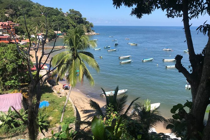 Puerto Vallarta's Yelapa Boat & Walking Tour - Crossing the Bay of Banderas by water taxi