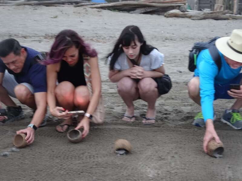 Puerto Vallarta: Sea turtle release at Sunset - The marine biologist’s introduction