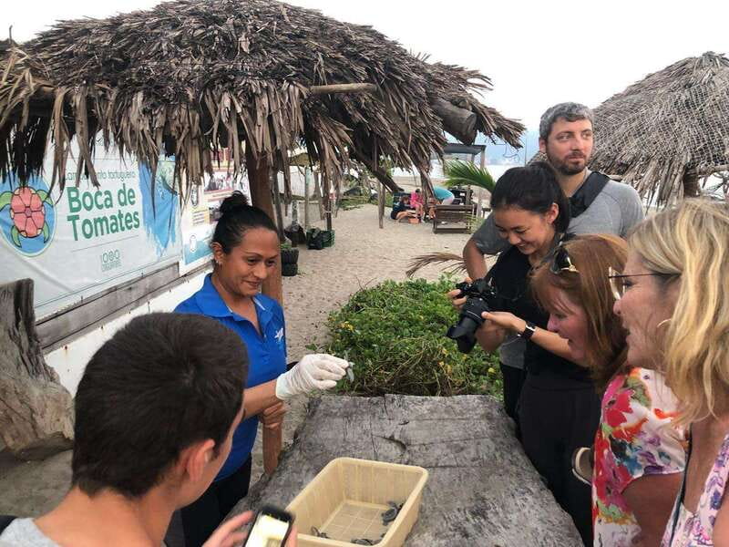 Puerto Vallarta: Sea turtle release at Sunset - Inside the nursery