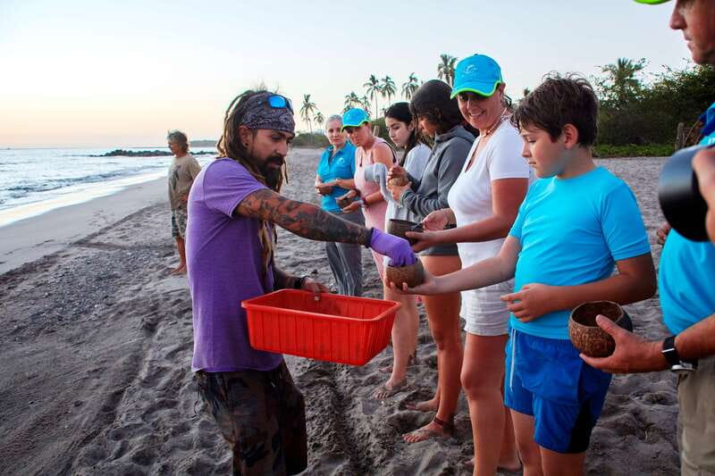 Puerto Vallarta: Sea turtle release at Sunset - What the $87 price really covers