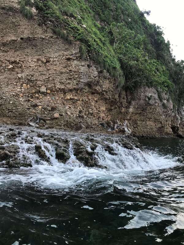 Puerto Vallarta: Snorkeling Tour to Los Arcos de Mismaloya - What the $55 price covers