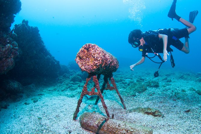 Puerto Vallarta Undersea Private Scuba Diving - The crew makes a real difference
