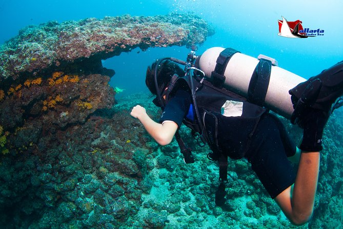 Puerto Vallarta Undersea Private Scuba Diving - What is included, and what costs extra