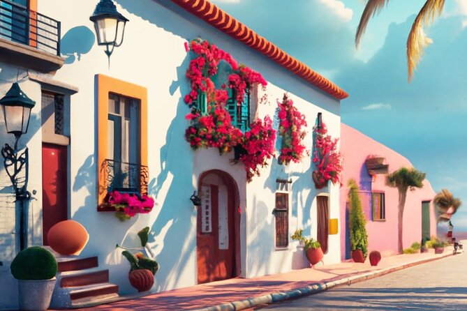 Puerto Vallarta VIP Promotional Tour - What this promotional tour really offers