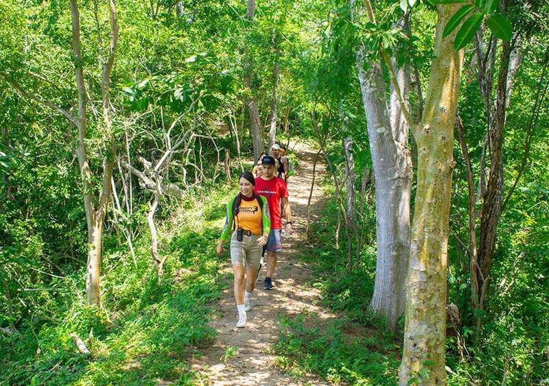 Puerto Vallarta: Walking Tour to Glass ViewPoint Jorullo - Walking Through the Subtropical Forest