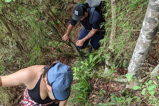Puerto Vallarta Waterfall Hike - What the guides add to the experience
