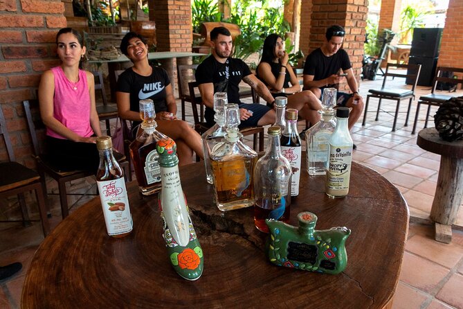 Puerto Vallarta Zipline, Mule ride and Jorullo Bridge Walking - Safety, fitness, and what to pack