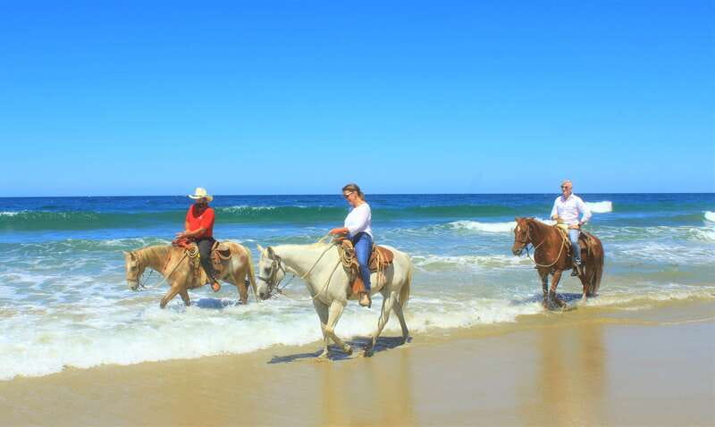 Punta de Mita/Sayulita: Horseback Riding Tour - Should you book the Higuera Blanca horseback ride?