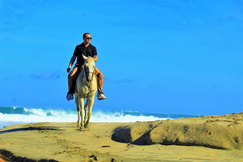Punta de Mita/Sayulita: Horseback Riding Tour - The ranch animals add real character