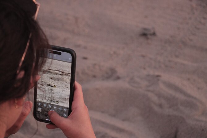 Release of Sea Turtles in Camp Tortuguero - The conservation talk at the turtle camp