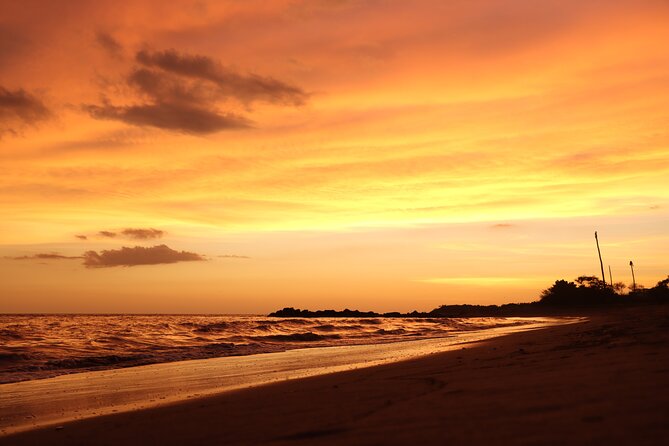 Release of Sea Turtles in Camp Tortuguero - How much value do you get for $41.82?