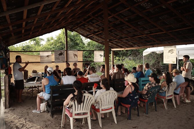 Release of Sea Turtles in Camp Tortuguero - Heat, footwear, photos, and the ride home