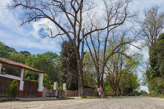 San Sebastian del Oeste - Coffee, silver, and agave along the route