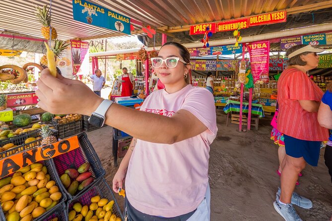 Sayulita and San Pancho Tour - Guides, drivers, and group dynamics