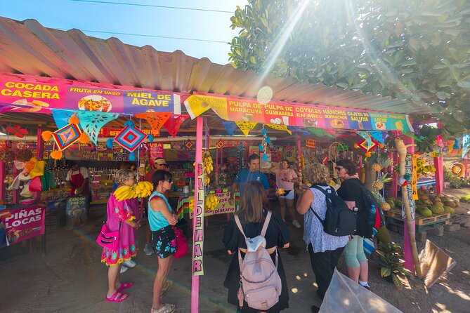Sayulita and San Pancho Tour - Who should book this day trip?