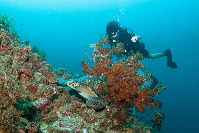 Scuba Diving Puerto Vallarta Undersea Arcos or Marietas - What the 9 a.m. departure looks like