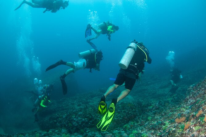 Scuba Diving Puerto Vallarta Undersea Arcos or Marietas - Marietas Islands: more sea time, more scenery