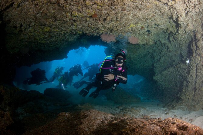 Scuba Diving Puerto Vallarta Undersea Arcos or Marietas - Wildlife begins above the water
