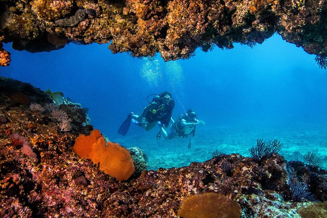 Scuba Diving with a 5-Star PADI Center in Puerto Vallarta - Equipment, Food, and the Real Price
