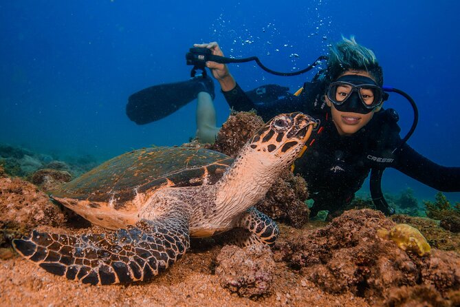 Scuba Diving with a 5-Star PADI Center in Puerto Vallarta - Who Will Enjoy This Most?