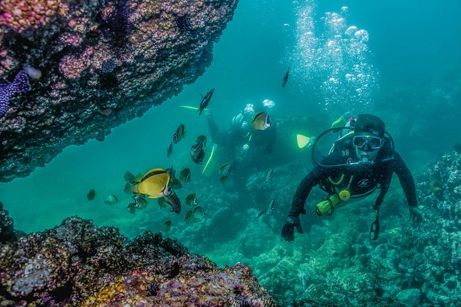 Scuba Diving with a 5-Star PADI Center in Puerto Vallarta - Practical Tips for a Better Day