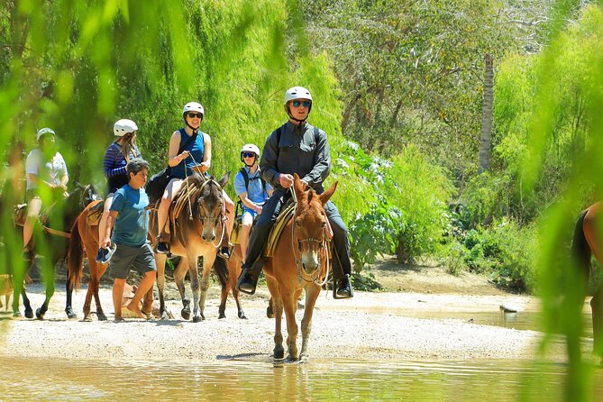 Sea Safari & Beach BBQ at secluded Pizota jungle beach - What the $169 price really buys you