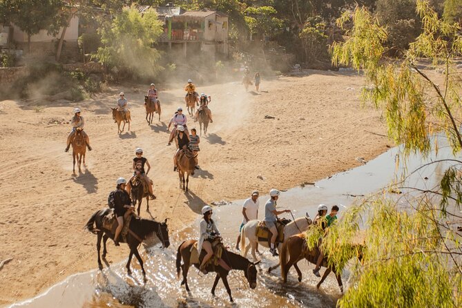 Sea Safari & Beach BBQ at secluded Pizota jungle beach - Who will enjoy this day most