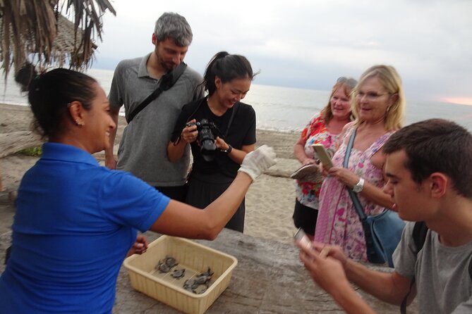 Sea Turtle Release – A Puerto Vallarta Conservation Adventure - Starting at the Ecotours Vallarta office
