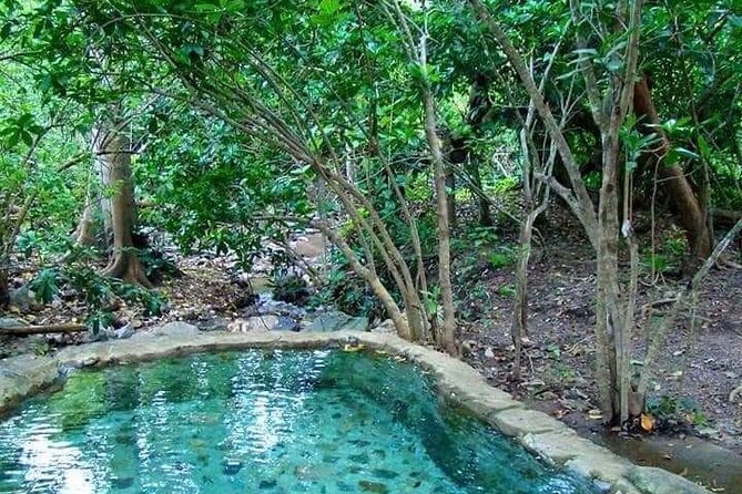 Shaded Hot Spring, Massage and Mex Grill in Puerto Vallarta - Choosing lunch in San Juan de Abajo