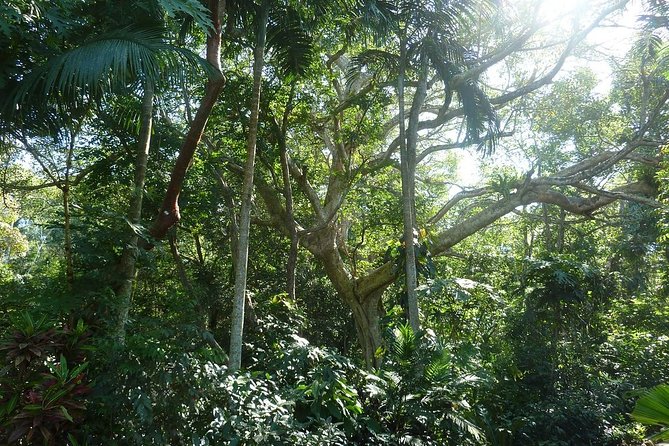 Skip the Line: Vallarta Botanical Garden Admission Ticket - Seasonal timing changes the experience