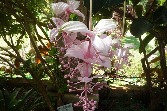 Skip the Line: Vallarta Botanical Garden Admission Ticket - Start with the Path of Flowers and Orchid Observatory