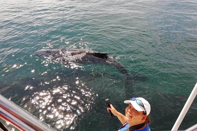 Small-Group Half-Day Whale-Watching Tour in Puerto Vallarta - Hearing whales beneath the boat