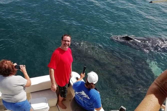 Small-Group Half-Day Whale-Watching Tour in Puerto Vallarta - Timing, weather, and the whale season